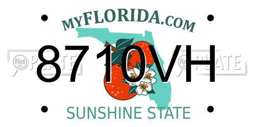 8710VH Florida License Plate
