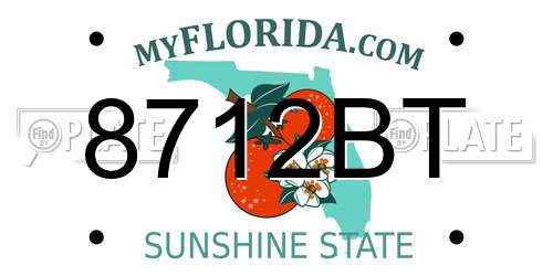8712BT Florida License Plate