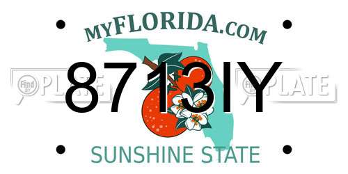 8713IY Florida License Plate