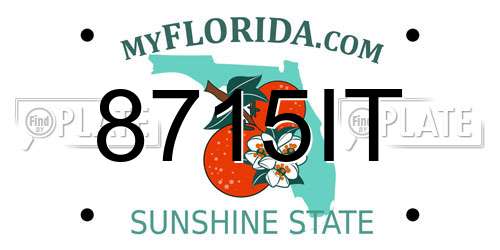 8715IT Florida License Plate