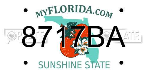 8717BA Florida License Plate