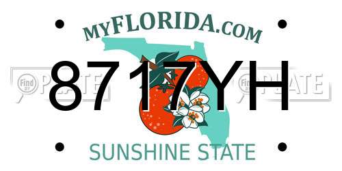 8717YH Florida License Plate