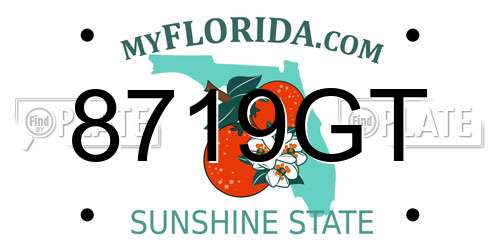 8719GT Florida License Plate