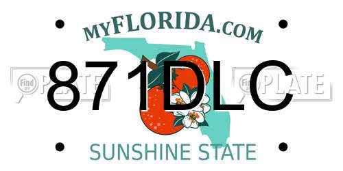 871DLC Florida License Plate