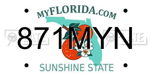 871MYN Florida License Plate