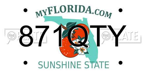 871QTY Florida License Plate