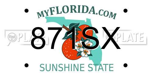 871SX Florida License Plate