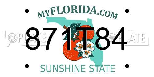 871T84 Florida License Plate