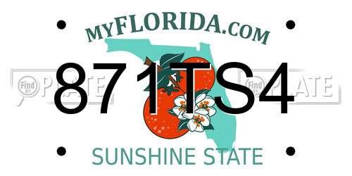 871TS4 Florida License Plate