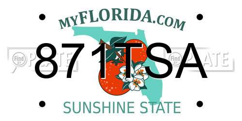871TSA Florida License Plate