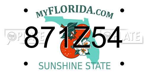 871Z54 Florida License Plate