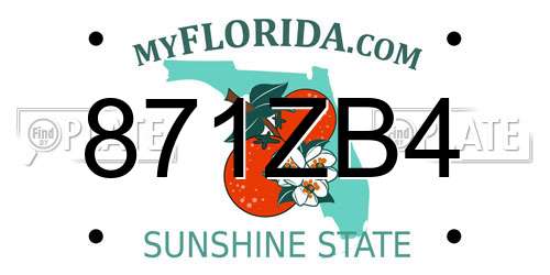 871ZB4 Florida License Plate