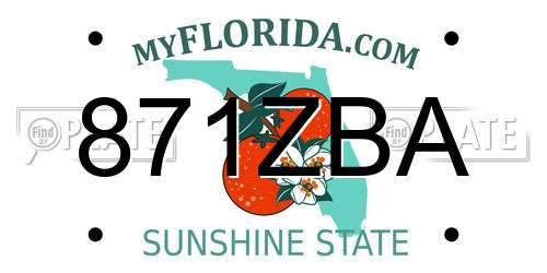 871ZBA Florida License Plate