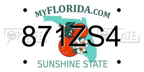 871ZS4 Florida License Plate