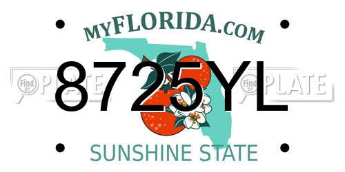 8725YL Florida License Plate