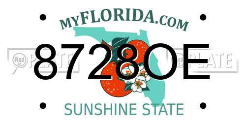 8728OE Florida License Plate