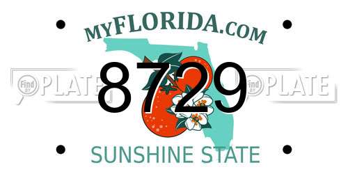 8729 Florida License Plate