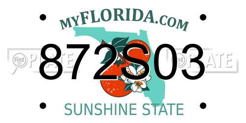 872S03 Florida License Plate