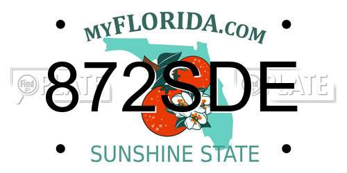 872SDE Florida License Plate