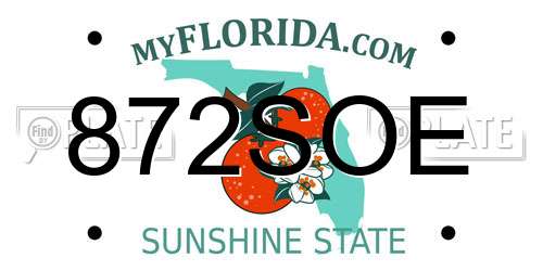 872SOE Florida License Plate