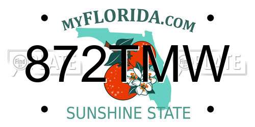 872TMW Florida License Plate