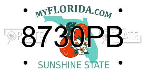 8730PB Florida License Plate