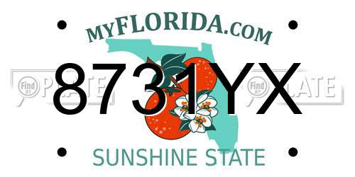 8731YX Florida License Plate