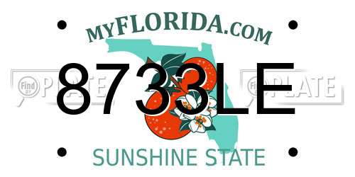 8733LE Florida License Plate