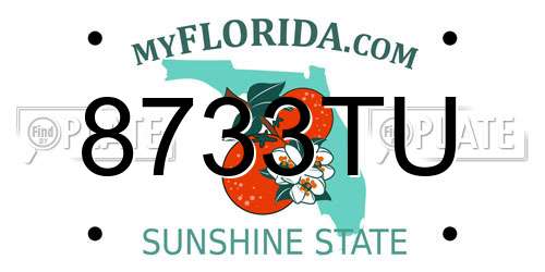 8733TU Florida License Plate