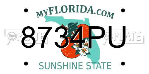 8734PU Florida License Plate