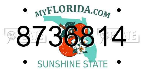 8736814 Florida License Plate