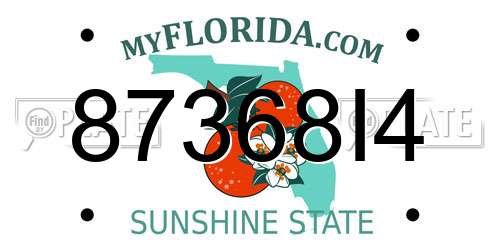 87368I4 Florida License Plate