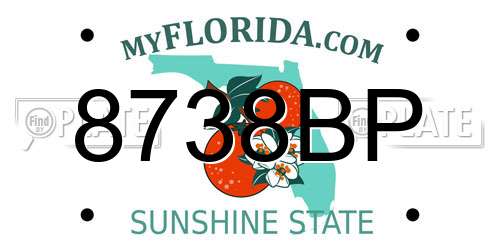 8738BP Florida License Plate