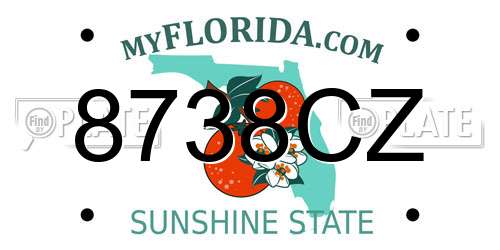 8738CZ Florida License Plate