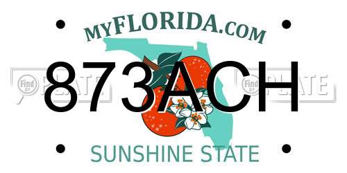 873ACH Florida License Plate