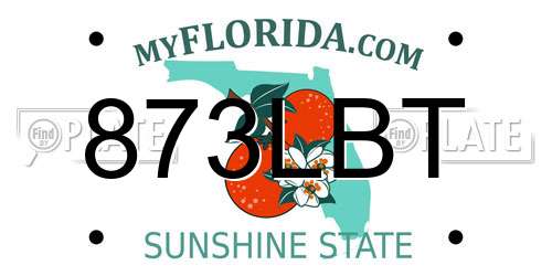 873LBT Florida License Plate
