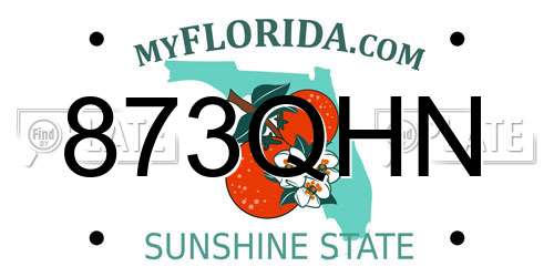 873QHN Florida License Plate