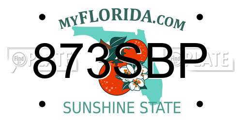 873SBP Florida License Plate
