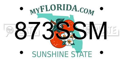 873SSM Florida License Plate