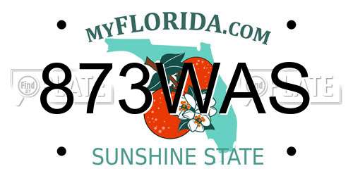 873WAS Florida License Plate