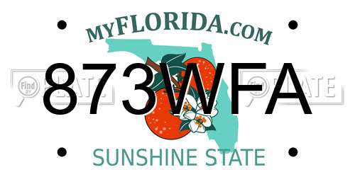 873WFA Florida License Plate