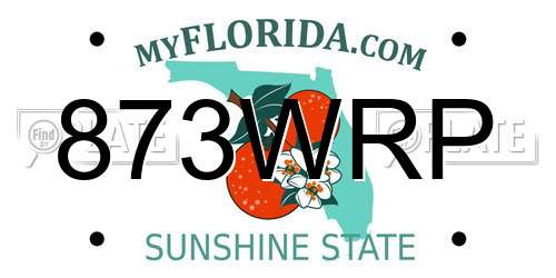 873WRP Florida License Plate