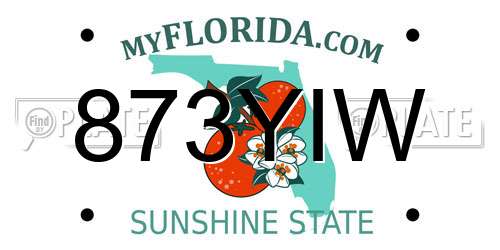 873YIW Florida License Plate