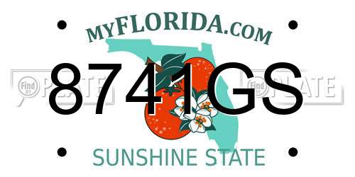 8741GS Florida License Plate