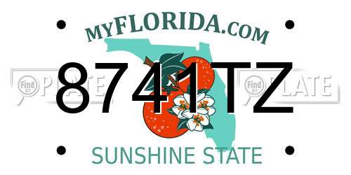 8741TZ Florida License Plate