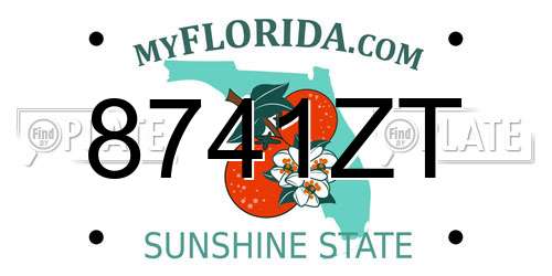 8741ZT Florida License Plate