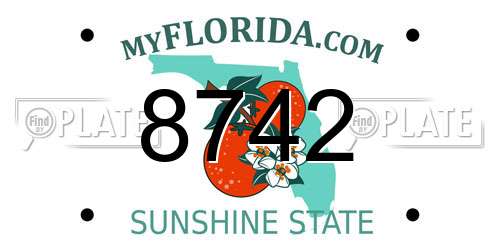 8742 Florida License Plate