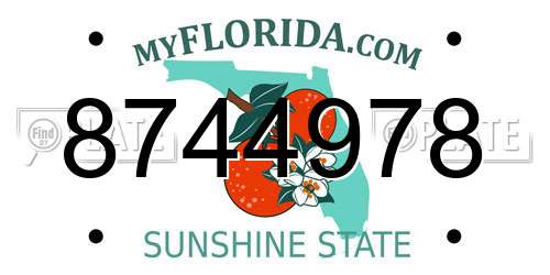 8744978 Florida License Plate