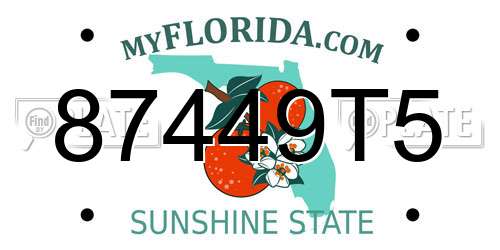87449T5 Florida License Plate