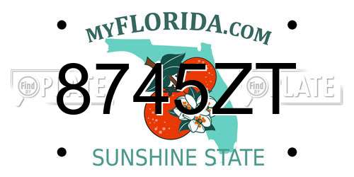 8745ZT Florida License Plate